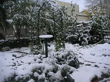 Let's see some pictures of your place... - Homesteading Questions