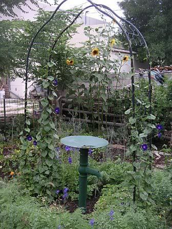 Let's see some pictures of your place... - Homesteading Questions