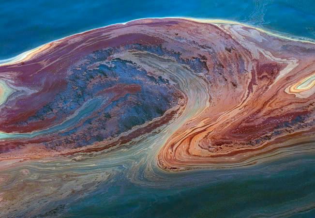 c43c8edba820850813fb5d8fe3520108jpe.jpg gulf of mexico oil spill may 2010 image by jenniferpeep