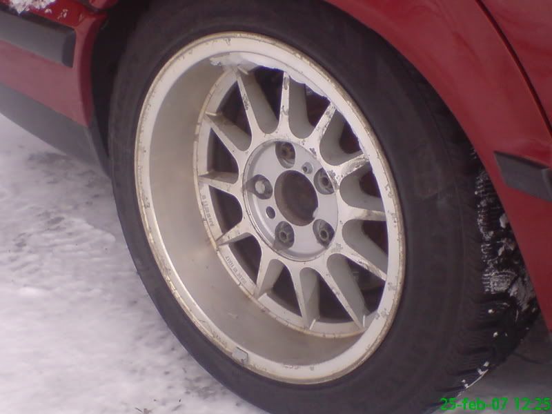 DSC00135.jpg