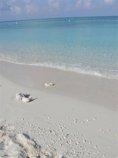 SeaGrapeBeachGrandCayman-1.jpg