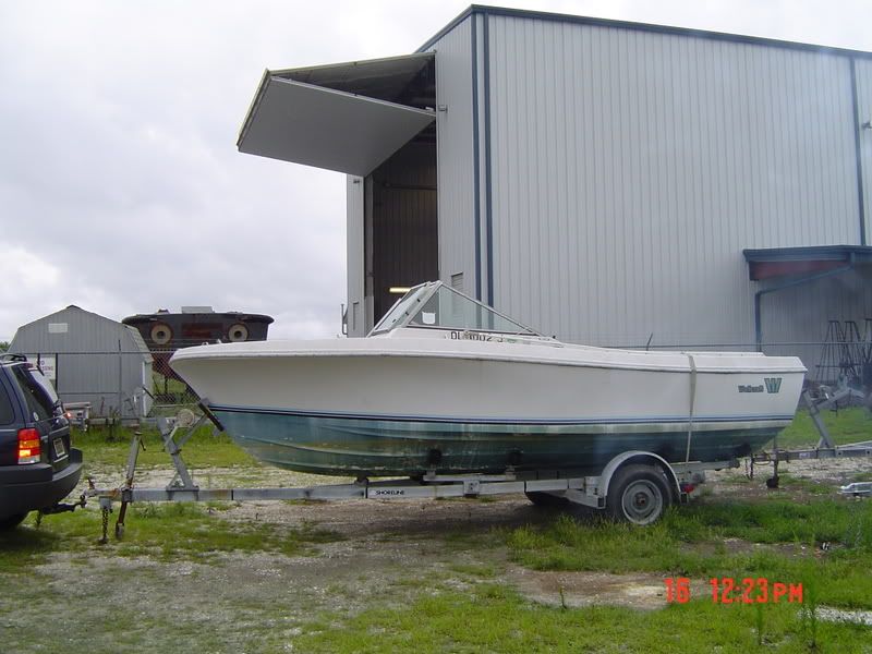 DSC02765.jpg