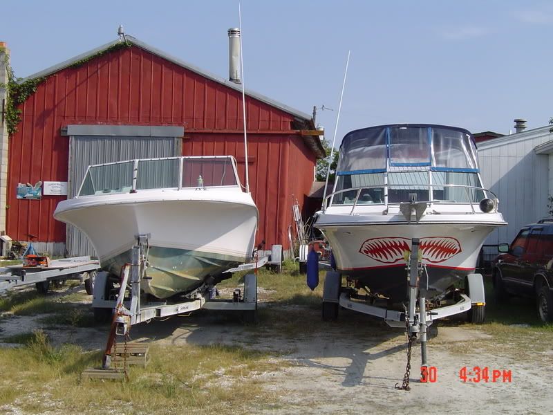 DSC02938-1.jpg