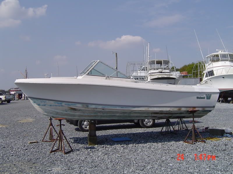 DSC02972.jpg