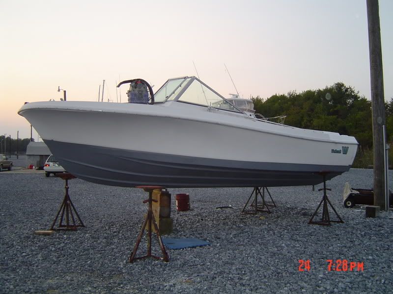 DSC02974.jpg