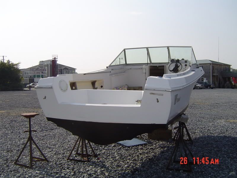 DSC02978.jpg