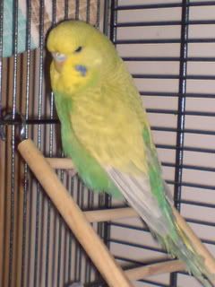 DSC00115.jpg