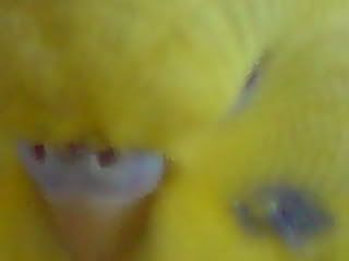 DSC001231.jpg