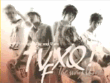 DBSK icon Pictures, Images and Photos