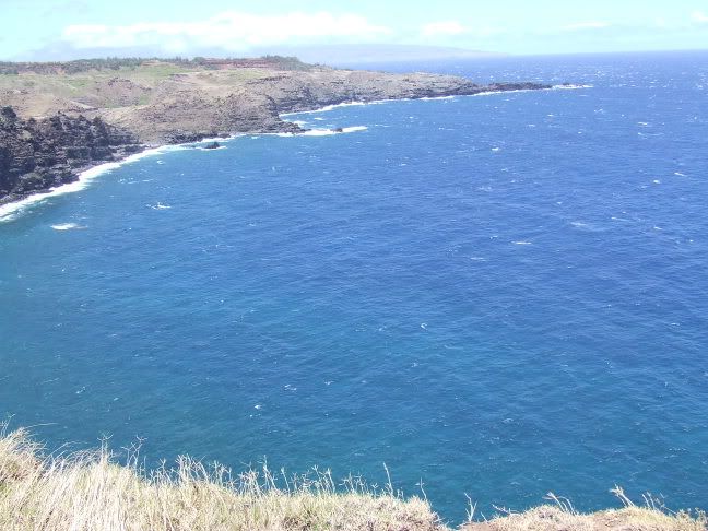 hawaii06169.jpg