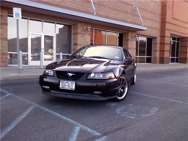 http://i47.photobucket.com/albums/f155/Bsox171/Maymustang.jpg