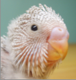 Picture11.png