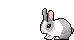 Hoppy.gif