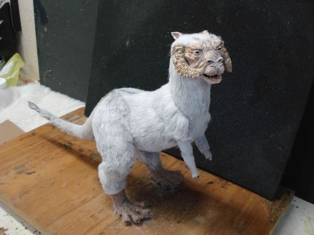 DSC00947.jpg