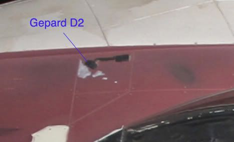 GepardD2.jpg