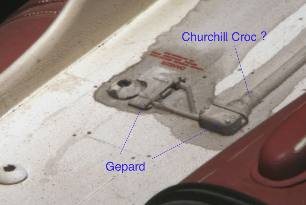 MoreGepardcroc.jpg