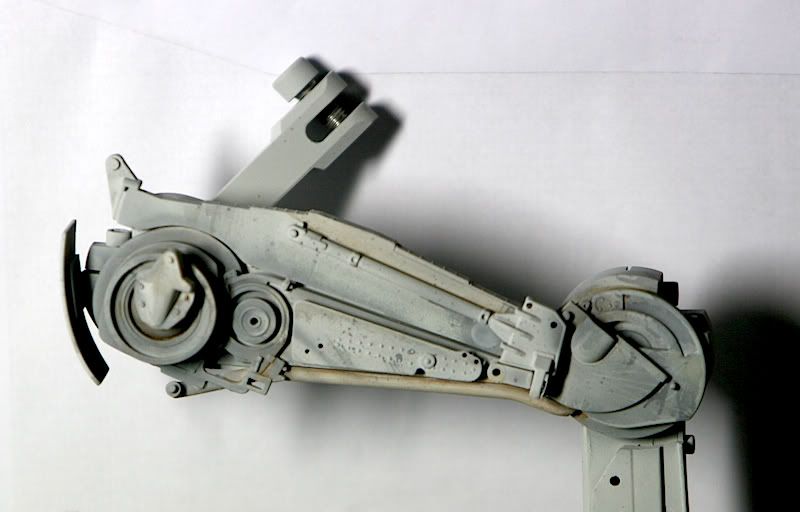 Thigh1.jpg