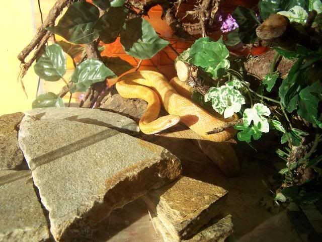 100_3271.jpg