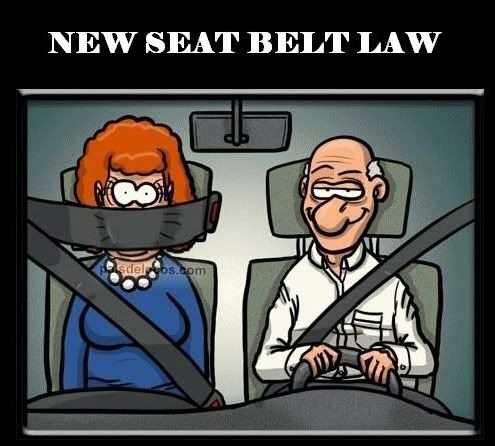 seatbeltlaw.jpg