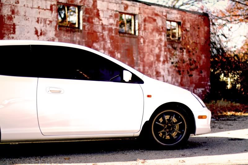 IMAGE: http://i47.photobucket.com/albums/f161/tamadrummer1120/Photography/IMG_2900copy.jpg