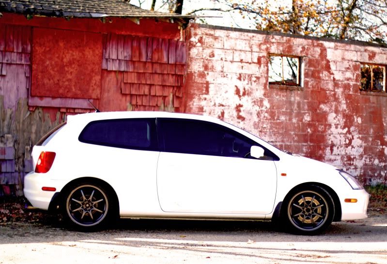 IMAGE: http://i47.photobucket.com/albums/f161/tamadrummer1120/Photography/IMG_2901copy.jpg