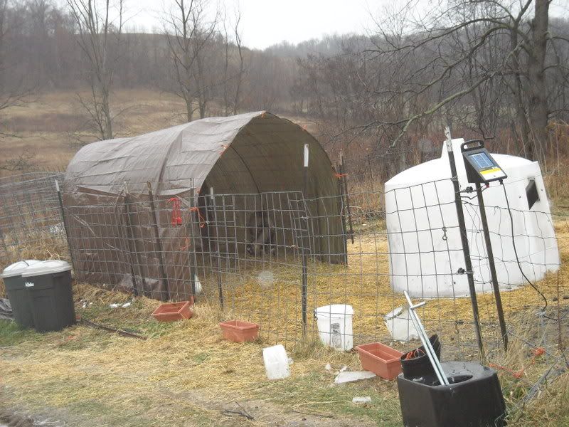 Has anyone used Hoop shelters for their goats? - Goats