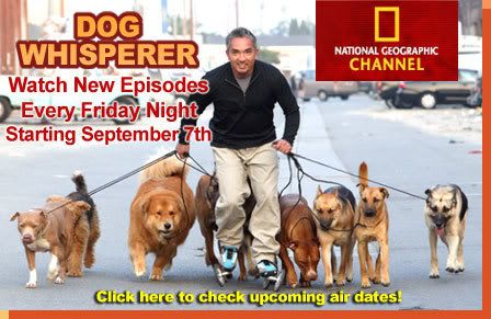 Cesar Millan Pictures, Images and Photos