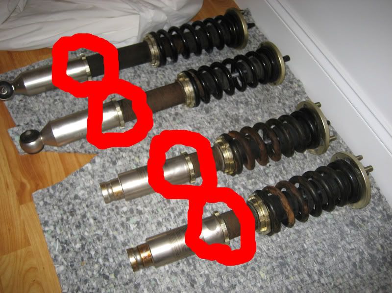 Please help..Nex coilovers stuck Accord V6 Forum