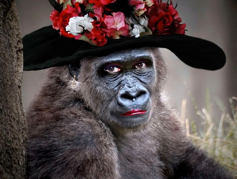 Image result for lady gorilla