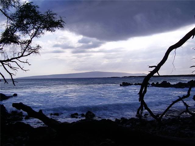 maui Pictures, Images and Photos