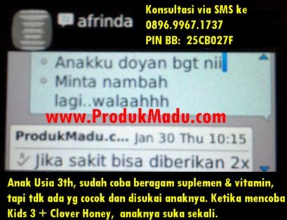 anak suka kids3+clover honey photo TestiAnakSukaCHKids3.jpg