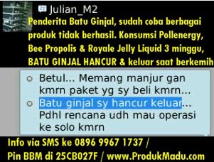 testimoni batu ginjal photo TestiBatuGinjalRJLBeePropPollenergy.jpg
