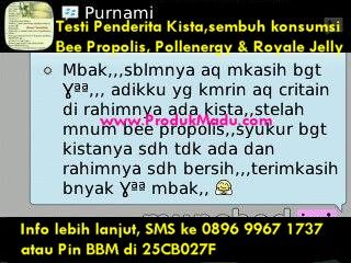 Testi Sembuh Kista photo TestiKistaSembuhBeePropRJLPollenergy.jpg