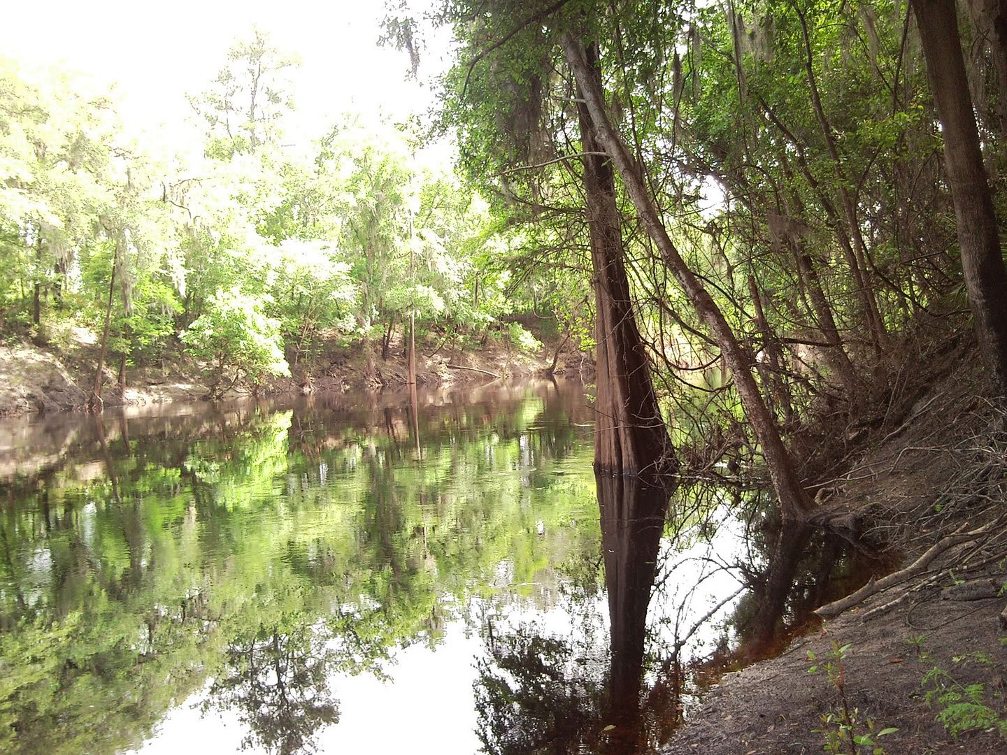 fff09_misc02.jpg