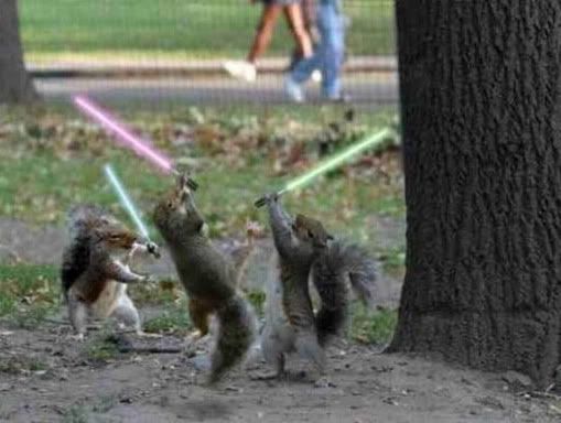 squrrilslightsabebattle.jpg squirrls with light sabers image by siragusa130