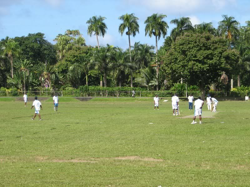 Mid morning cricket game in fiji