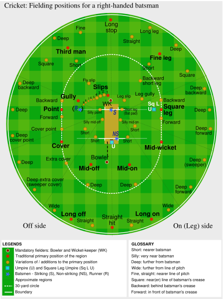 fielding positions in cricket. Fielding Positions Cricket.