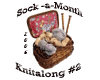 Sock-a-Month Knitalong 2