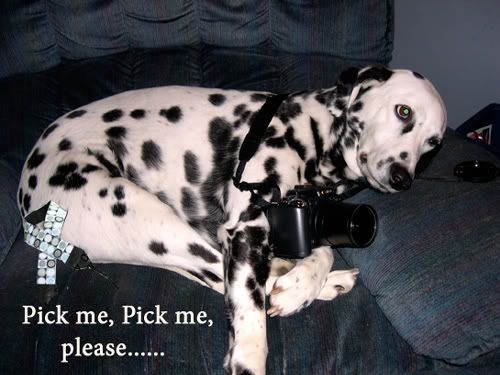 Photobucket - Video and Image Hosting