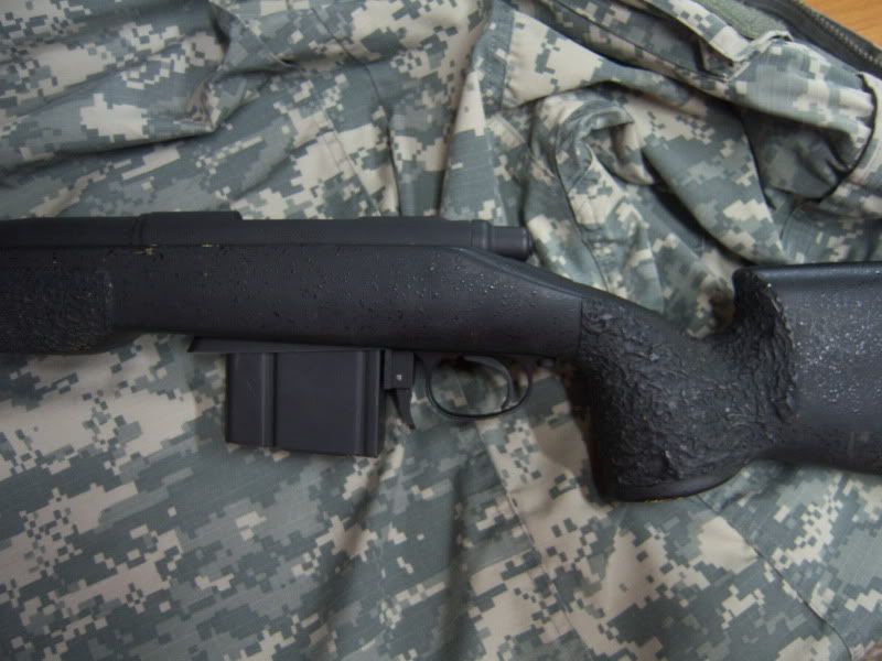 100_4533.jpg