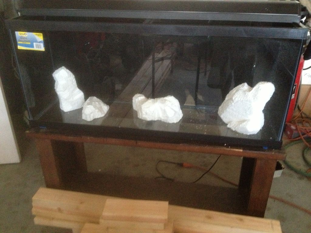 starting a fish tank room! Cichlid Fish Forum