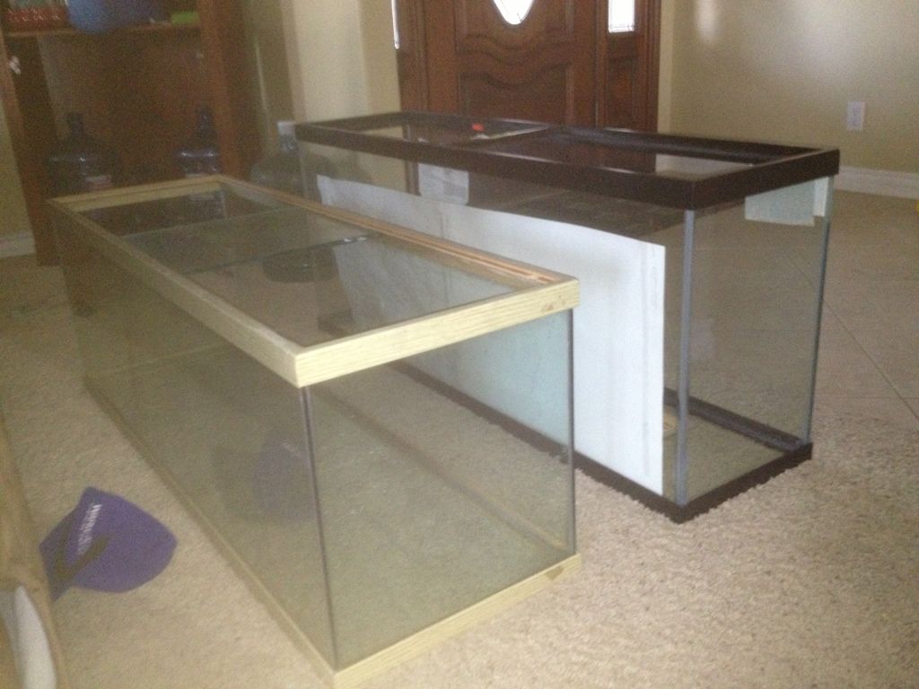starting a fish tank room! Cichlid Fish Forum