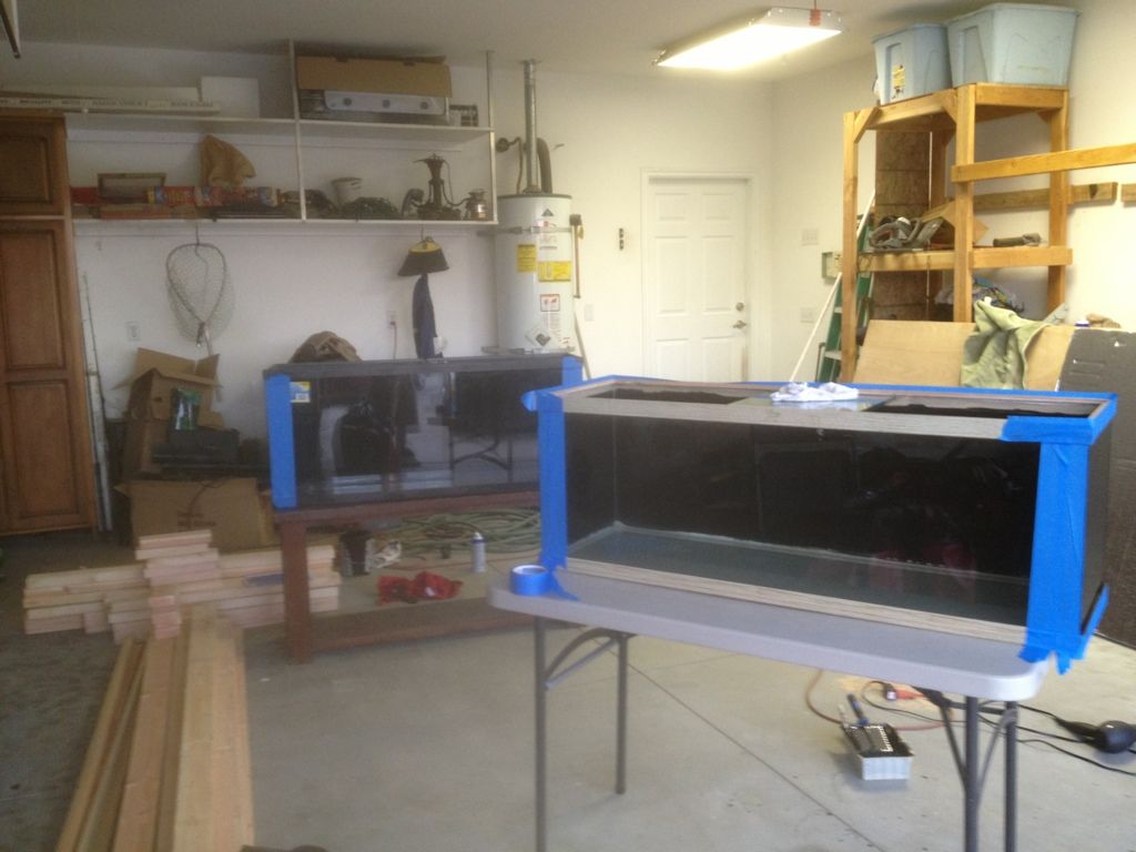 starting a fish tank room! Cichlid Fish Forum