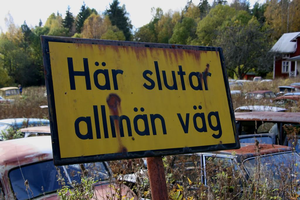 Bilde