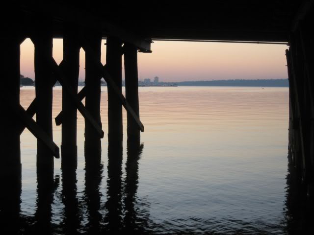 Under the Canning Bridge