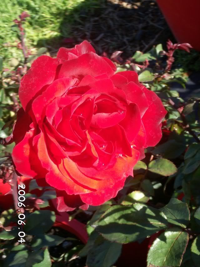 Rose by any other name will smell as sweet =)