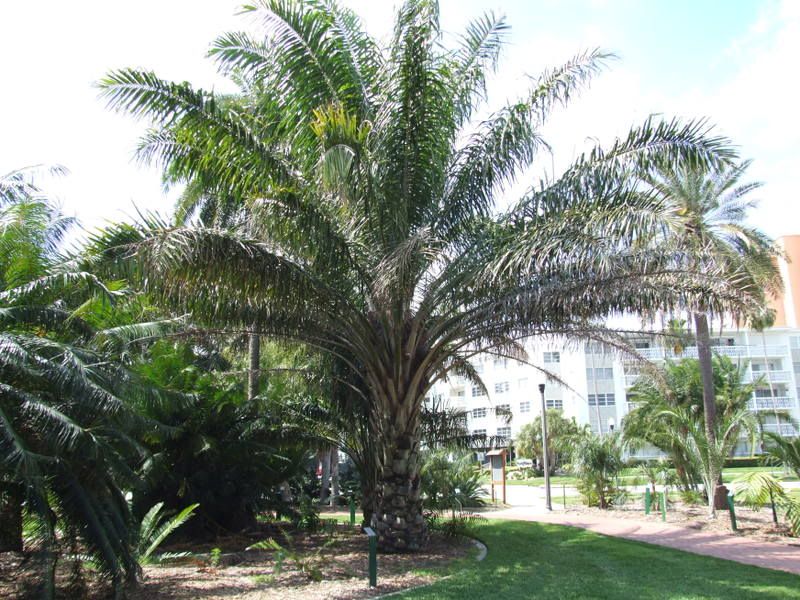 DSCF0179.jpg