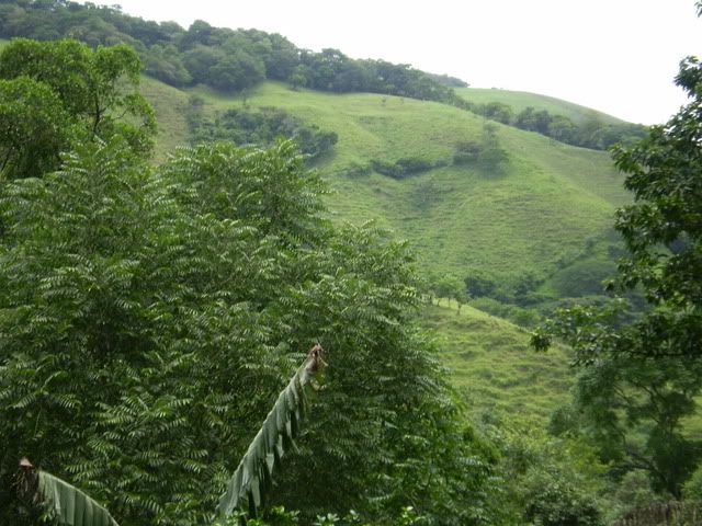P7300025.jpg