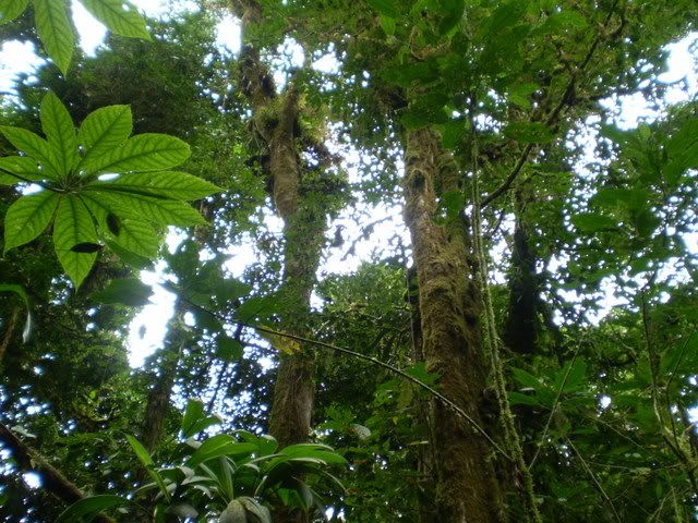 P7300056.jpg