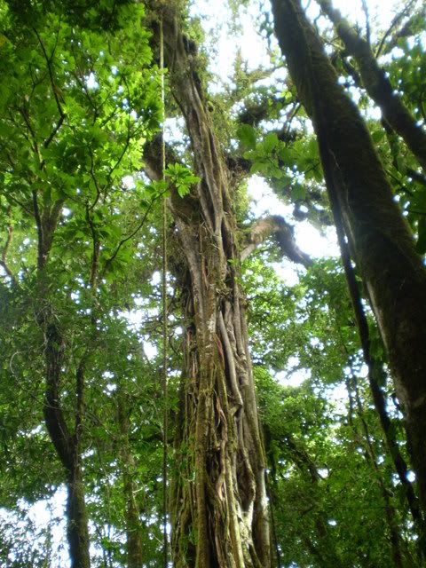 P7300079.jpg